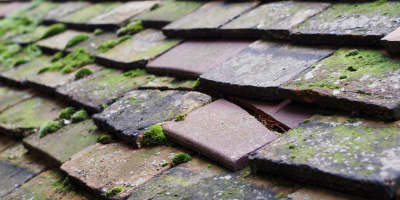 Wetton roof repair costs